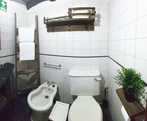 Casa Da Arvore - Paradinha