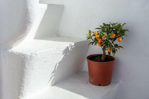 Casa Do Pescador By Ammonite&co