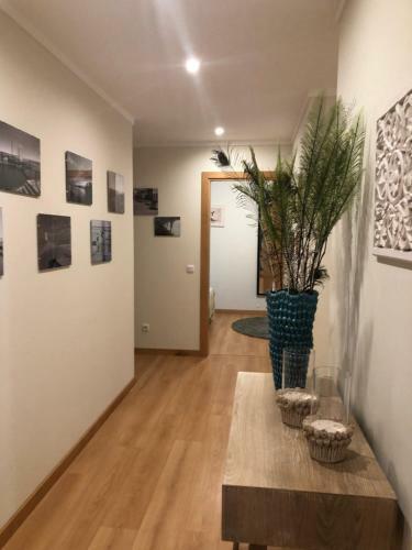 Apartamento Ria Formosa