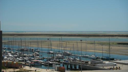 Apartamento Cavalo Marinho
