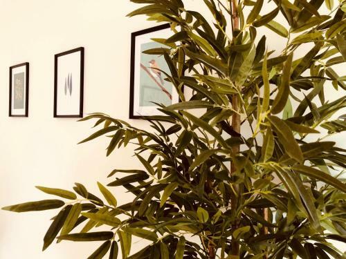 Apartamento Gaivota