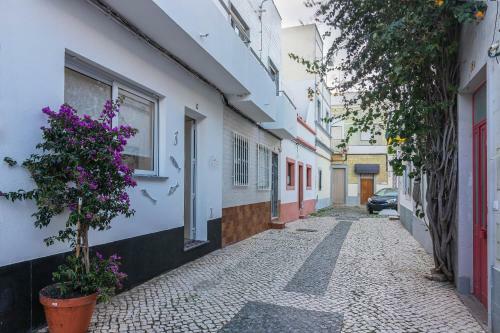 Apartamento Olh�o Typical By Homing