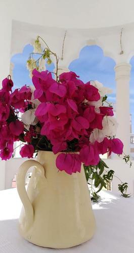 Bed & Breakfast Casar�o Al