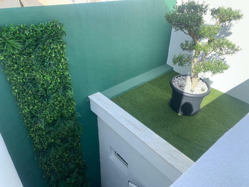 Casa Oliveira Olh�o