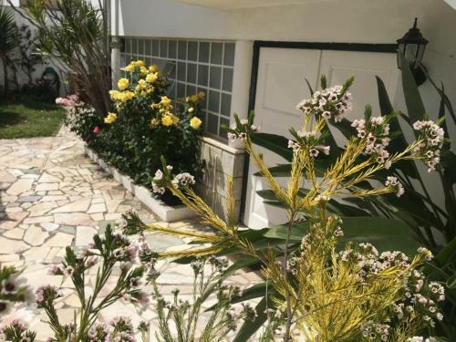 2 Bedroom Apartment House - Sol Do Murtal