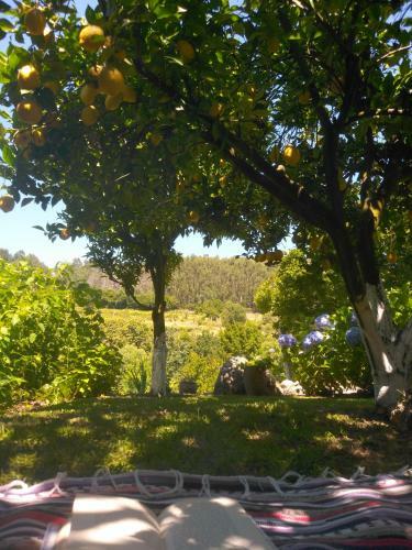 Quinta Da Chanca