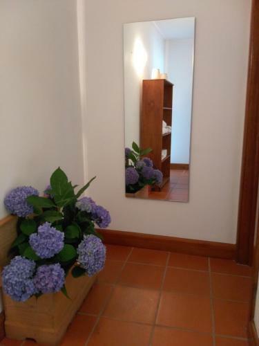 Quinta Da Chanca