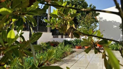 Nazare With Garden And Barbecue By Mp
