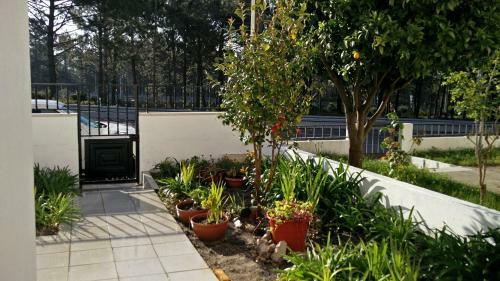 Nazare With Garden And Barbecue By Mp