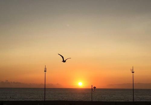 Apartamento T2 Vista Mar