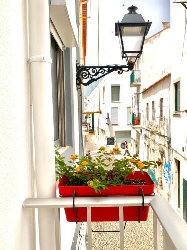 Apartamento A Casa Dos Z�s