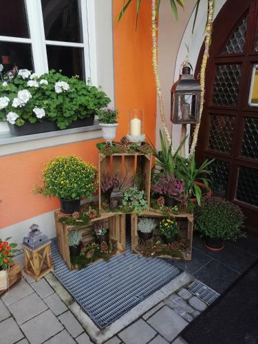 Hostal Gasthof-pension Wilder Mann
