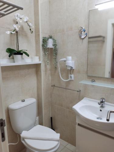 Casa S�o Gi�o - Especially For You !