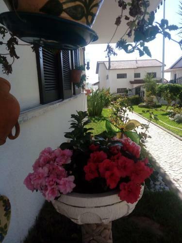 Apartamento Bela Vista