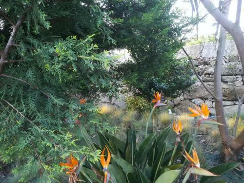 Villa Campo de Sobarbo - Guest House Rural