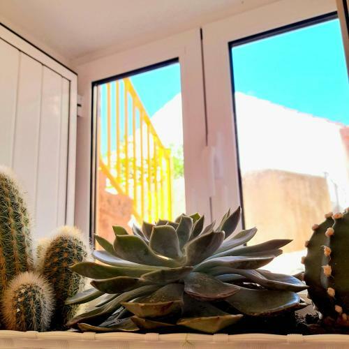 Apartamento Casa Vinte & Cinco Alojamento Local