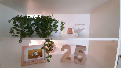 Apartamento Casa Vinte & Cinco Alojamento Local
