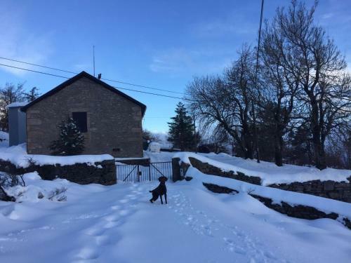 Mountain House/ Serra Da Estrela