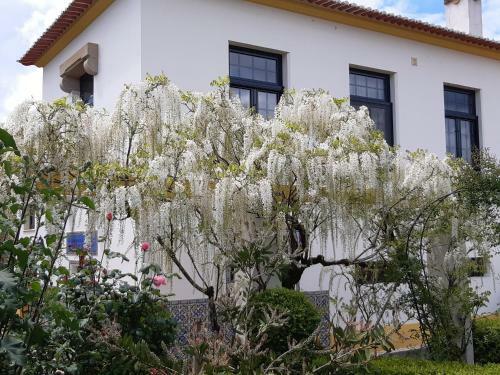 Vakantiewoning Casa Das Eiras