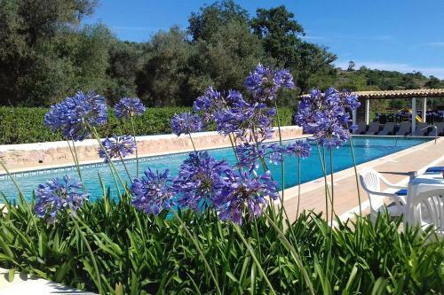 Casa Pura Vida - Fantastic Sea View