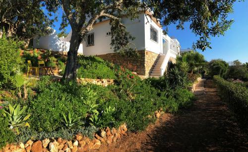 Casa Pura Vida - Fantastic Sea View