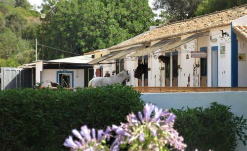 Casa Pura Vida - Fantastic Sea View