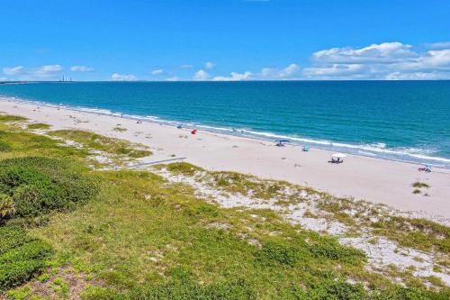 Cape Palms