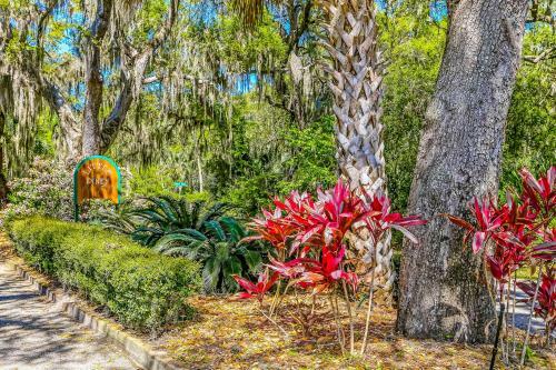 96097 Piney Island