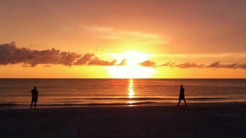 Beach Palms By Teeming Vacation Rentals
