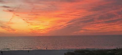 Sea Turtle Life - Amazing Waterfront Home With Beautiful Pool!