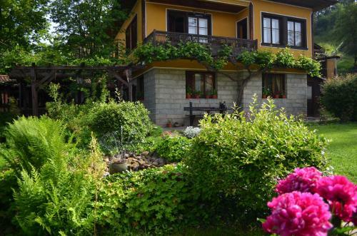 Hostal Dona Guest House