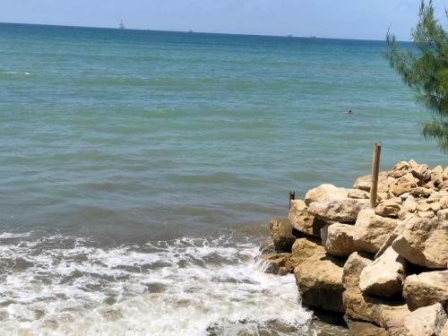 Bed & Breakfast Hoster�a Ecol�gica El Faro