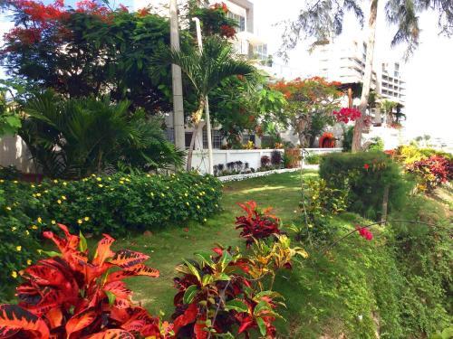 Bed & Breakfast Hoster�a Ecol�gica El Faro