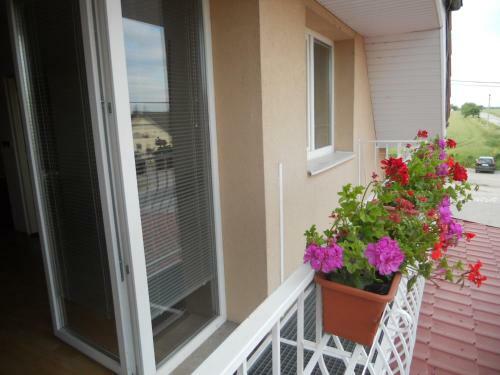 Hostal Penzion Kaplna