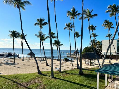Hotel Breezy Palms Resort