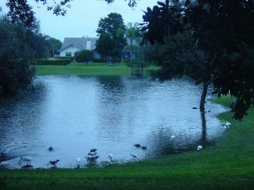 Vacation Rental Indian Rocks Or Clearwater Beach