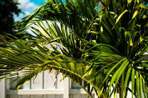 Villa Modern Newly Renovated Boho Beach Home With Heated Pool