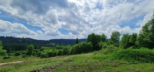 Apartm�n U Lebed?