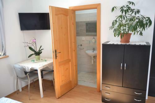Hostal Pension U Sovy