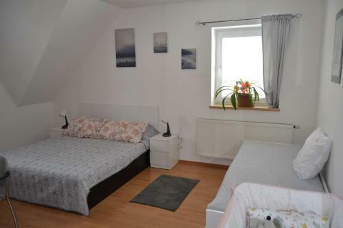 Hostal Pension U Sovy