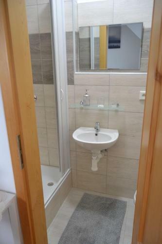 Hostal Pension U Sovy