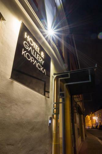 Hostal Hotel & Gallery Kopacka