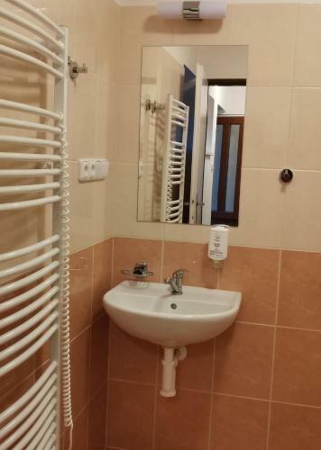 Hotel Svratka