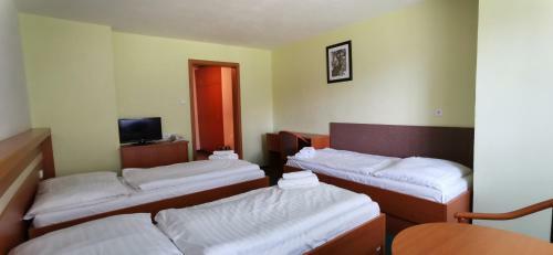 Hotel Svratka