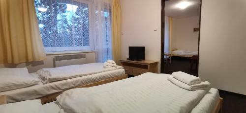Hotel Svratka