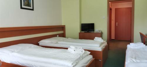 Hotel Svratka