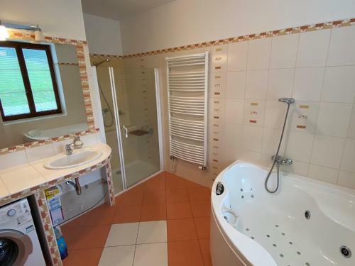 Apartm�n Pod Dr�tn�kem