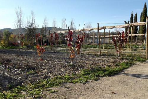 Apartamento Centro de Agroecologia Y Medio Ambiente de Murcia