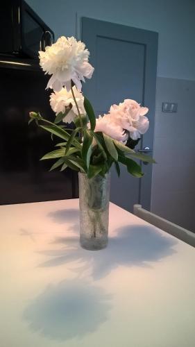 Apartamento Ohrazenice 103