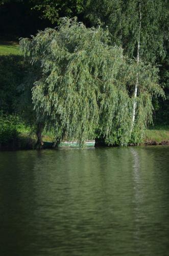 Villa Chata U Rybn�ka